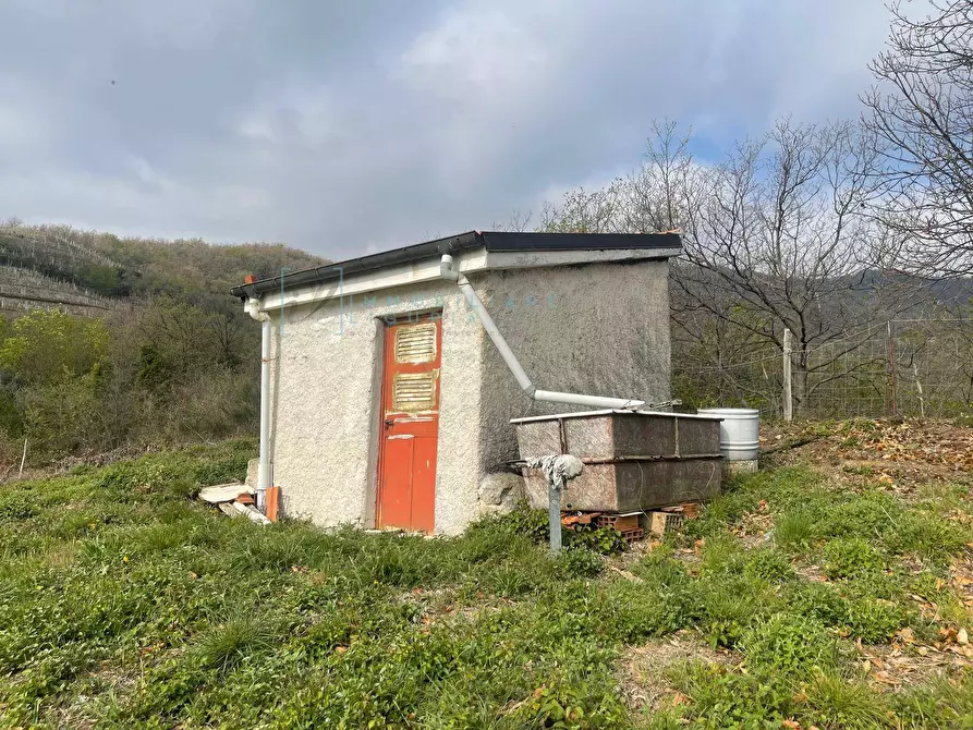 Immagine 2 di Terreno agricolo in vendita  in Strada provinciale 28 a Caravonica