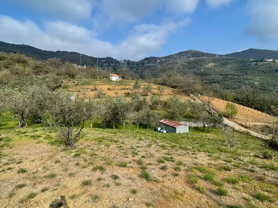 Immagine 3 di Terreno agricolo in vendita  in Strada provinciale 28 a Caravonica