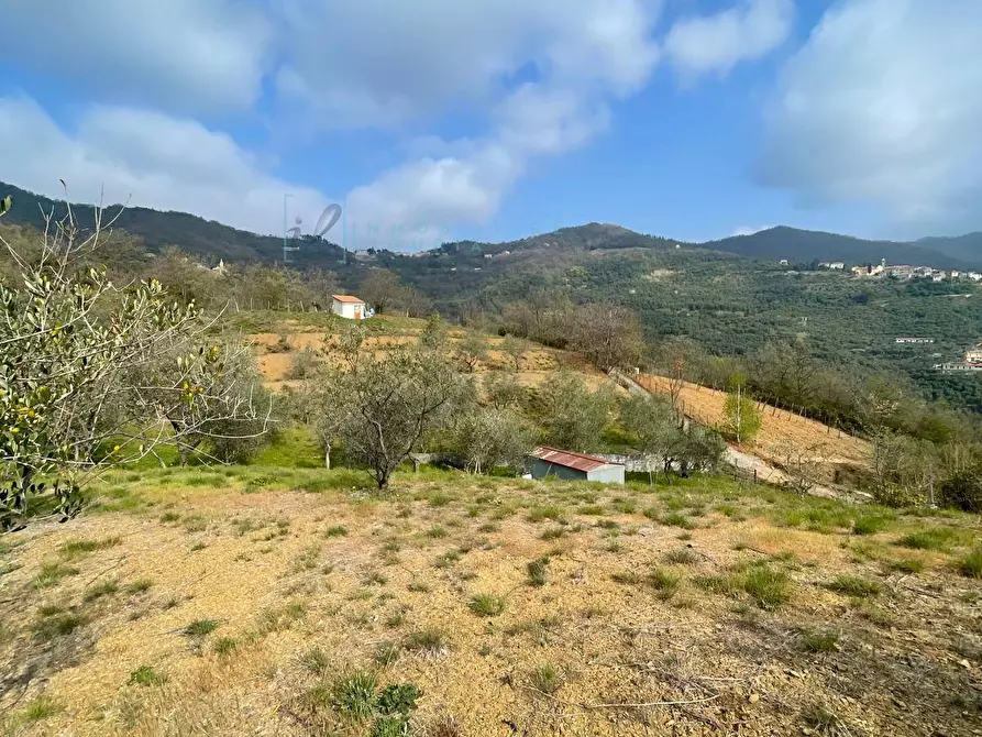 Immagine 4 di Terreno agricolo in vendita  in Strada provinciale 28 a Caravonica
