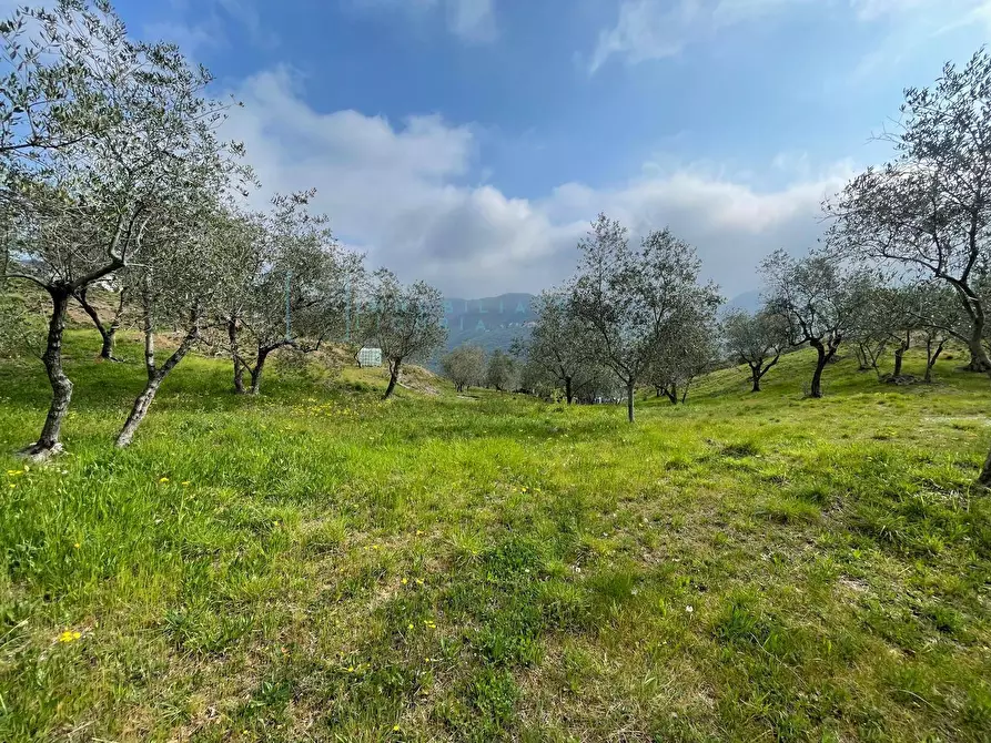 Immagine 5 di Terreno agricolo in vendita  in Strada provinciale 28 a Caravonica