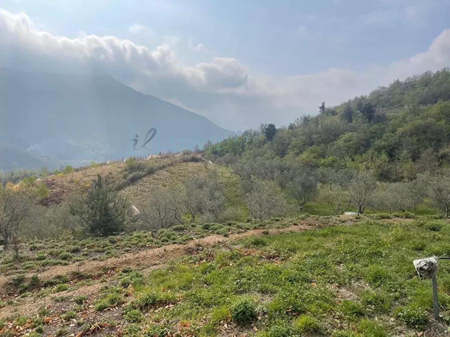 Immagine 6 di Terreno agricolo in vendita  in Strada provinciale 28 a Caravonica