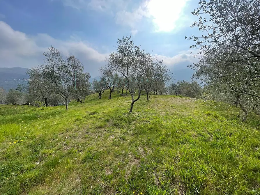 Immagine 7 di Terreno agricolo in vendita  in Strada provinciale 28 a Caravonica