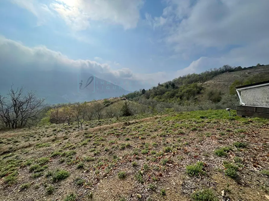 Immagine 8 di Terreno agricolo in vendita  in Strada provinciale 28 a Caravonica