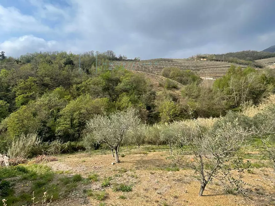 Immagine 9 di Terreno agricolo in vendita  in Strada provinciale 28 a Caravonica