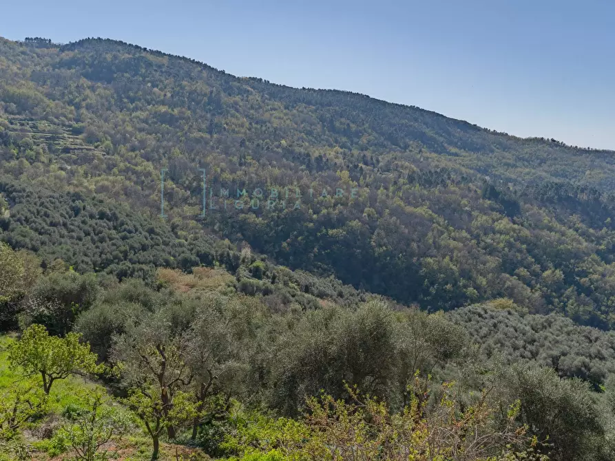 Immagine 25 di Casa indipendente in vendita  in Borgata Mugno a Aquila D'arroscia
