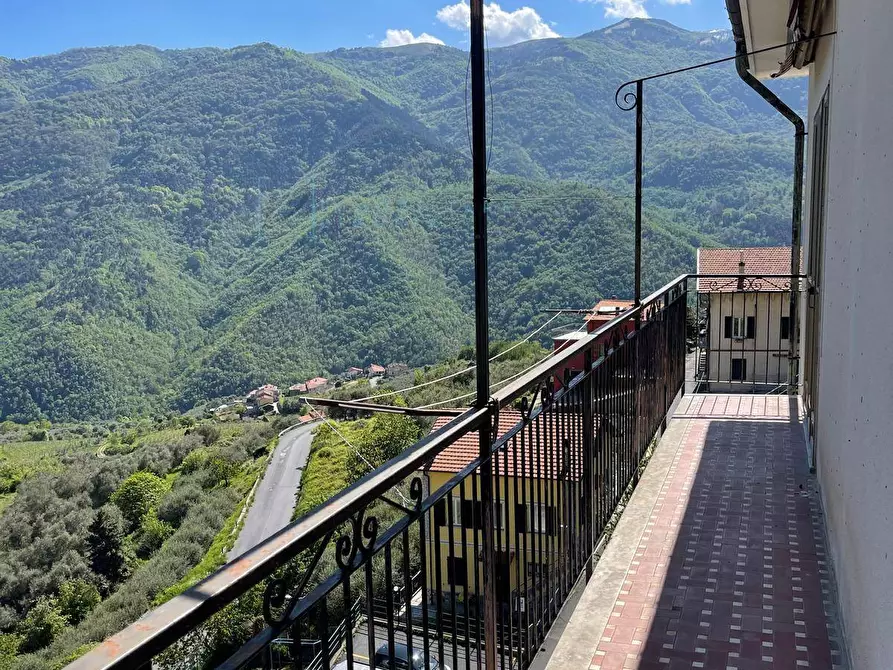 Immagine 27 di Casa indipendente in vendita  in San Luigi Via roma a Pornassio