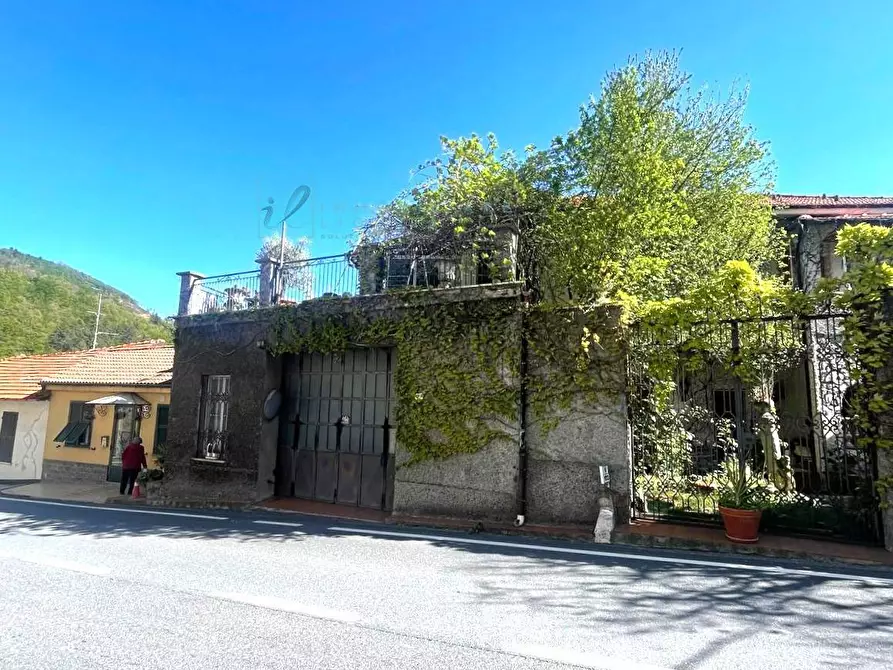 Immagine 38 di Casa indipendente in vendita  in San Luigi Via roma a Pornassio