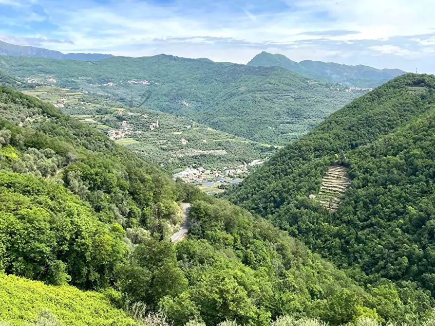 Immagine 3 di Attico in vendita  in Via comunale a Aquila D'arroscia