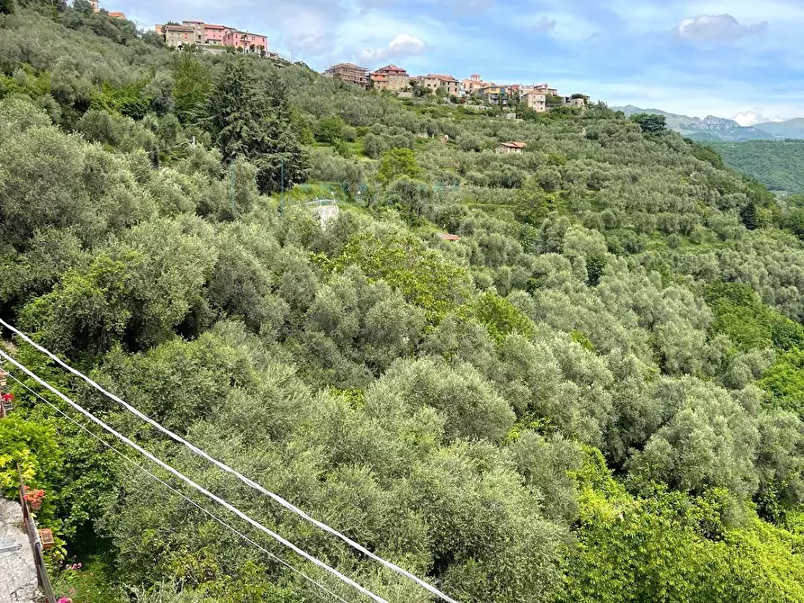 Immagine 23 di Attico in vendita  in Via comunale a Aquila D'arroscia