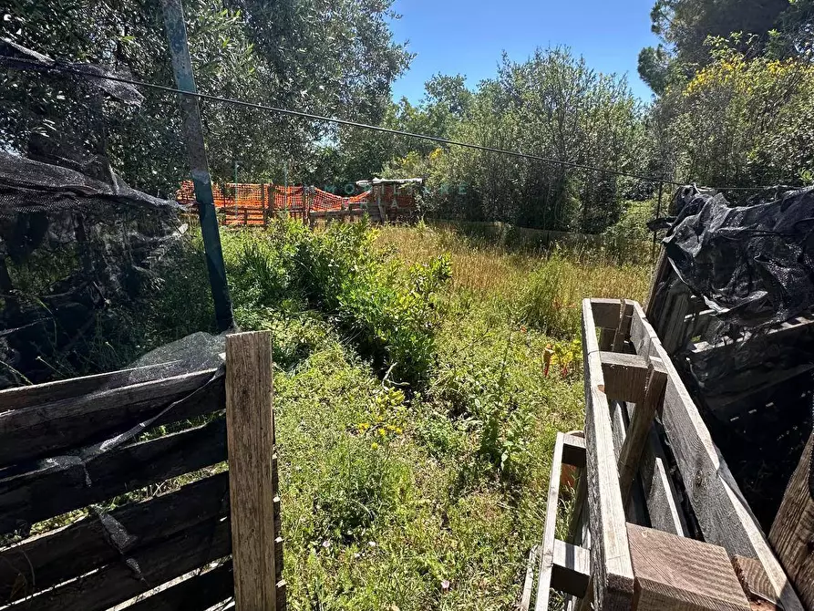 Immagine 4 di Terreno agricolo in vendita  in via del morteo a Albenga