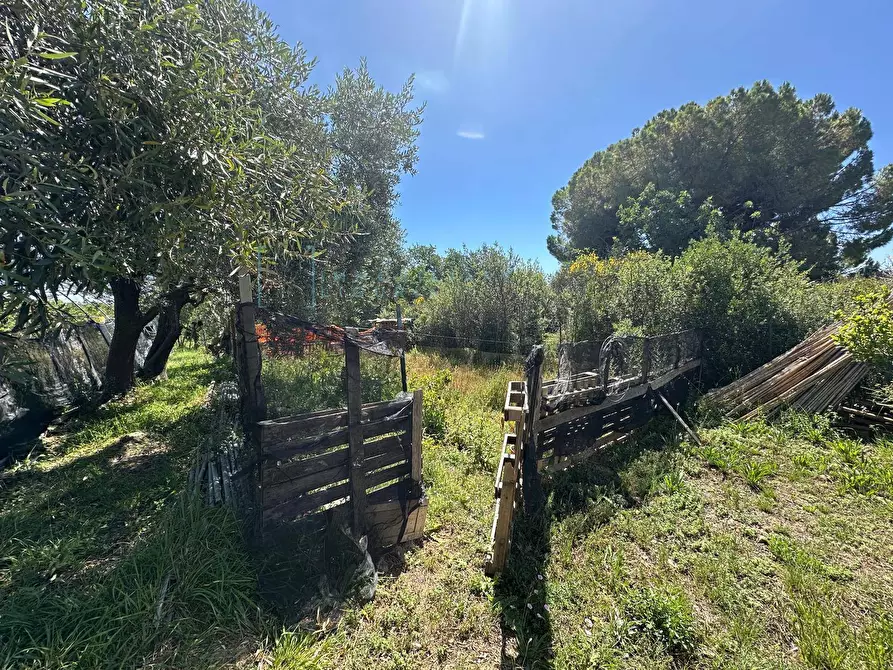 Immagine 5 di Terreno agricolo in vendita  in via del morteo a Albenga