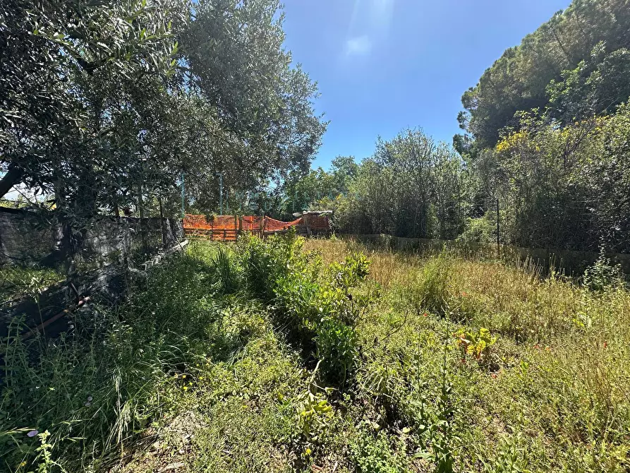 Immagine 6 di Terreno agricolo in vendita  in via del morteo a Albenga