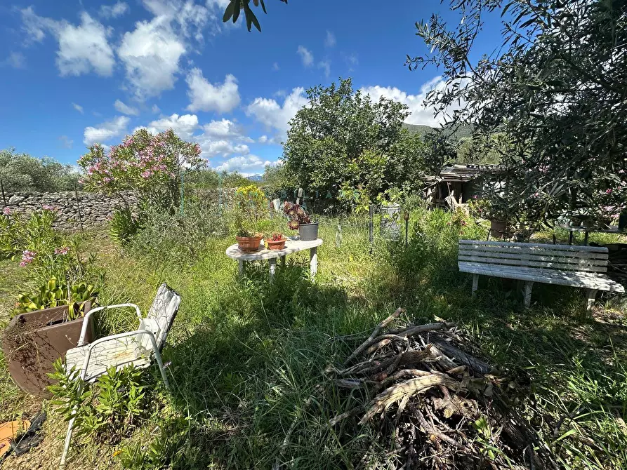Immagine 11 di Terreno agricolo in vendita  in via del morteo a Albenga