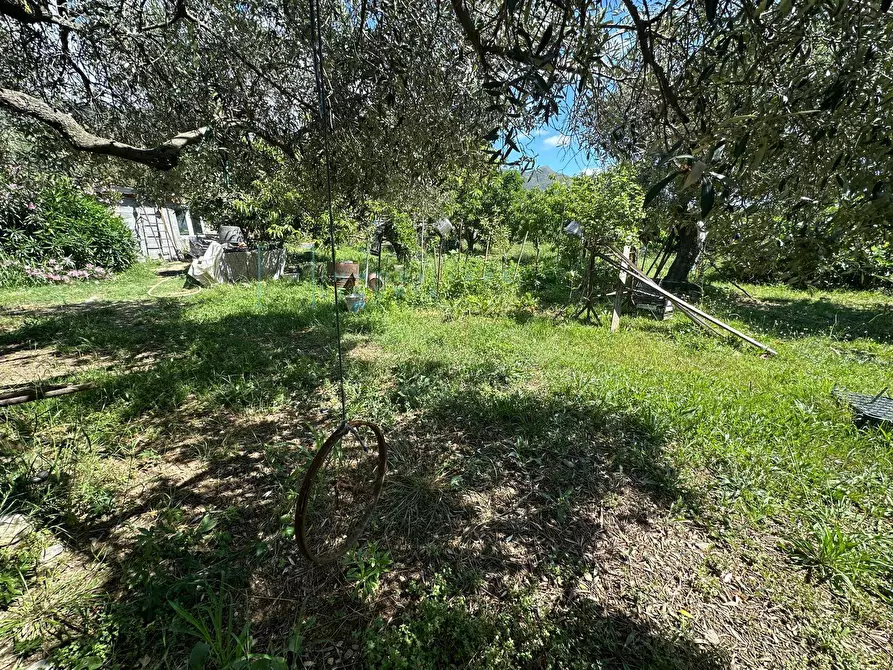 Immagine 13 di Terreno agricolo in vendita  in via del morteo a Albenga