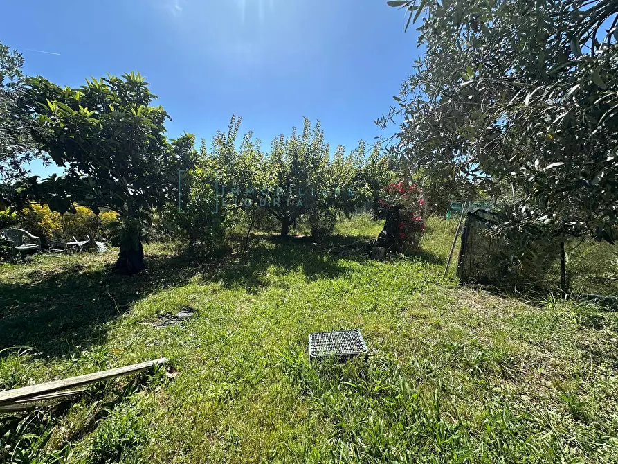 Immagine 14 di Terreno agricolo in vendita  in via del morteo a Albenga