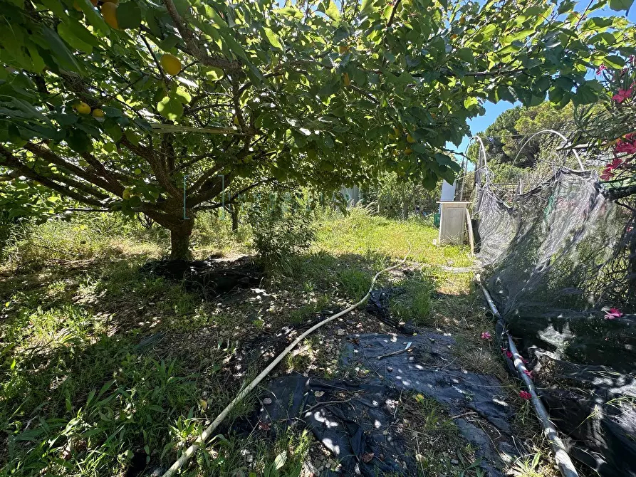 Immagine 15 di Terreno agricolo in vendita  in via del morteo a Albenga