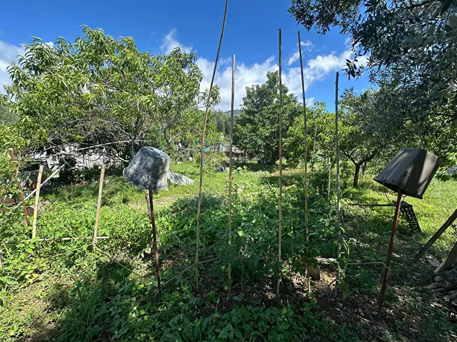 Immagine 16 di Terreno agricolo in vendita  in via del morteo a Albenga