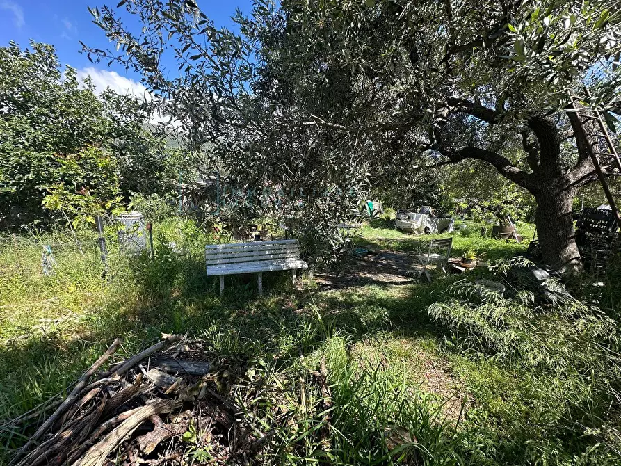 Immagine 17 di Terreno agricolo in vendita  in via del morteo a Albenga