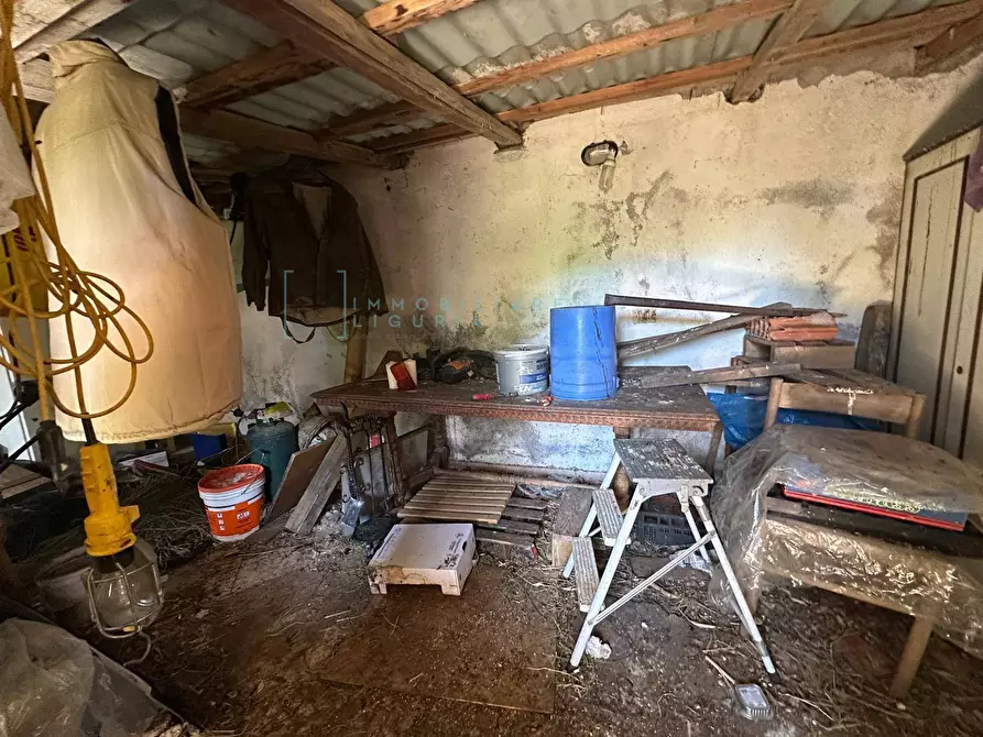 Immagine 18 di Terreno agricolo in vendita  in via del morteo a Albenga
