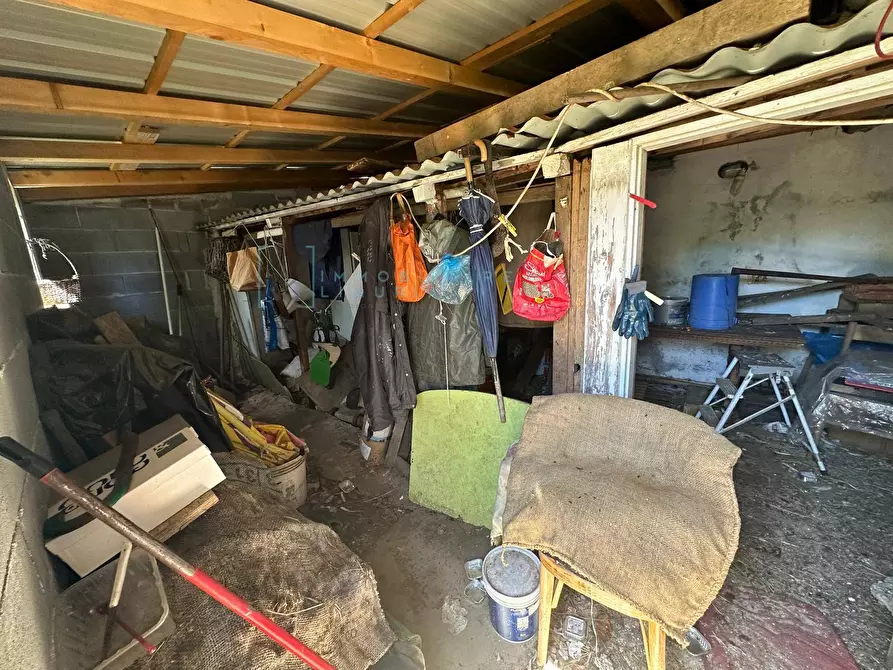 Immagine 19 di Terreno agricolo in vendita  in via del morteo a Albenga