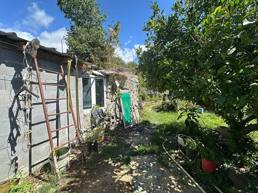 Immagine 20 di Terreno agricolo in vendita  in via del morteo a Albenga