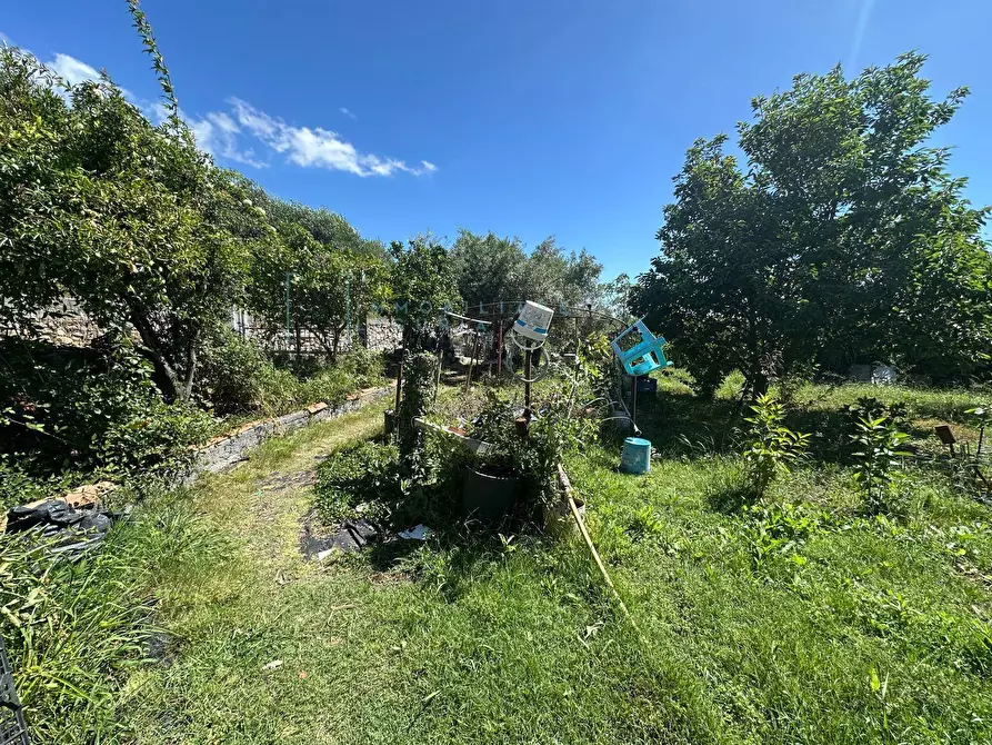 Immagine 21 di Terreno agricolo in vendita  in via del morteo a Albenga