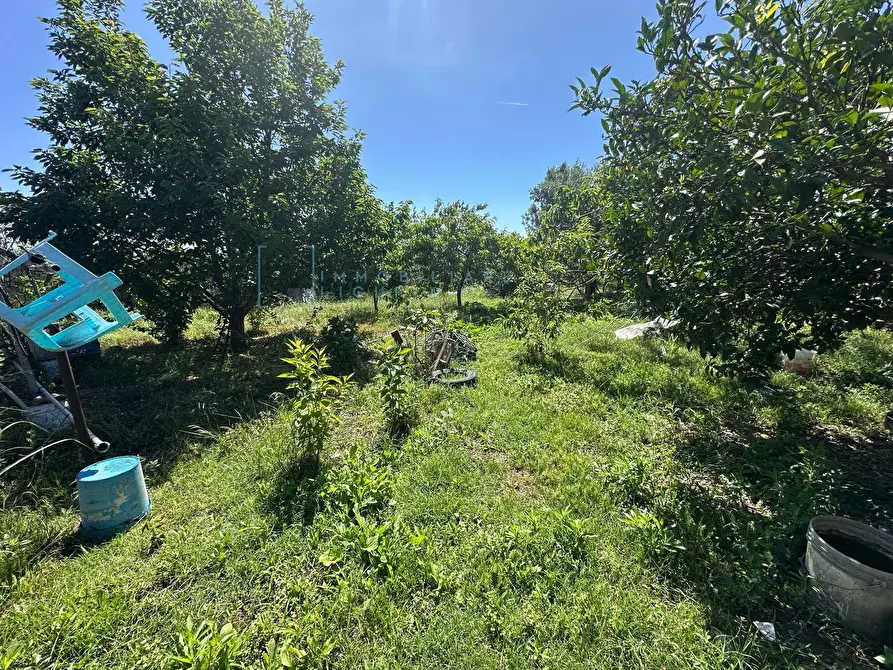 Immagine 22 di Terreno agricolo in vendita  in via del morteo a Albenga