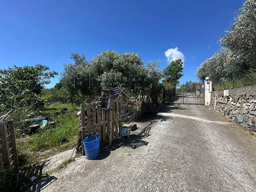 Immagine 2 di Terreno agricolo in vendita  in via del morteo a Albenga