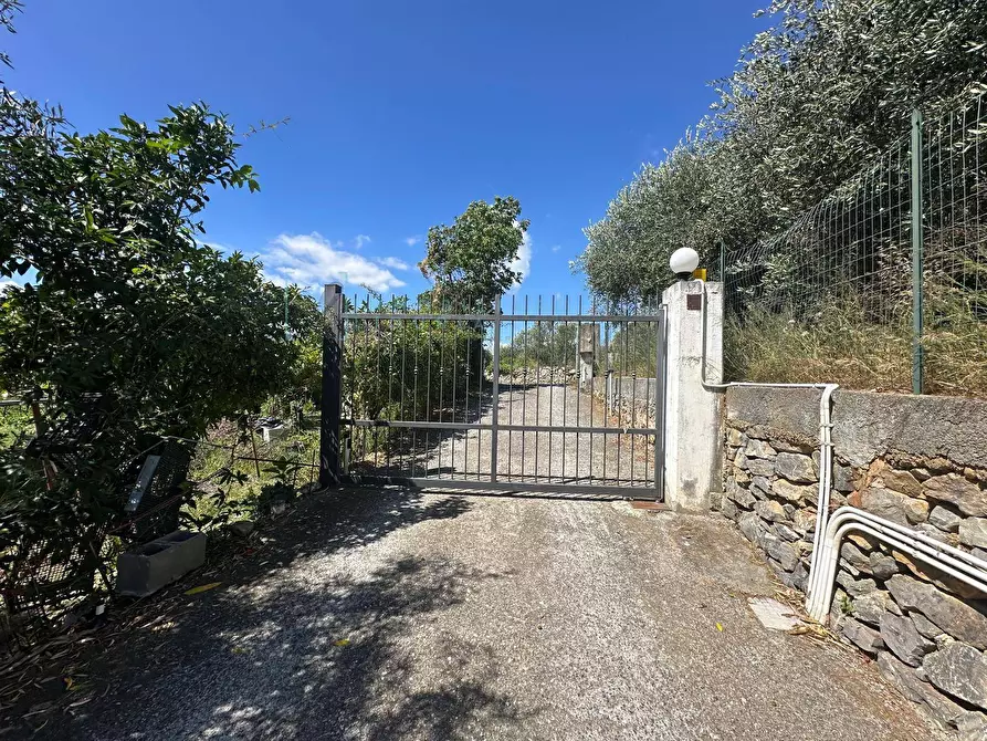 Immagine 23 di Terreno agricolo in vendita  in via del morteo a Albenga