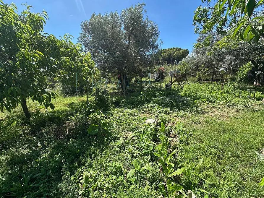 Immagine 24 di Terreno agricolo in vendita  in via del morteo a Albenga