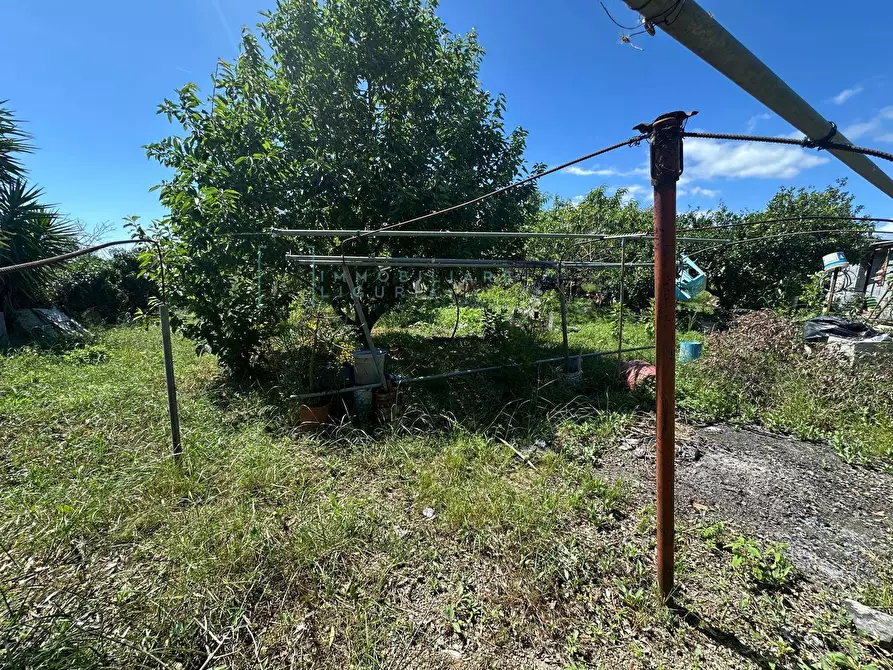 Immagine 25 di Terreno agricolo in vendita  in via del morteo a Albenga