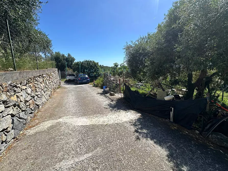 Immagine 26 di Terreno agricolo in vendita  in via del morteo a Albenga