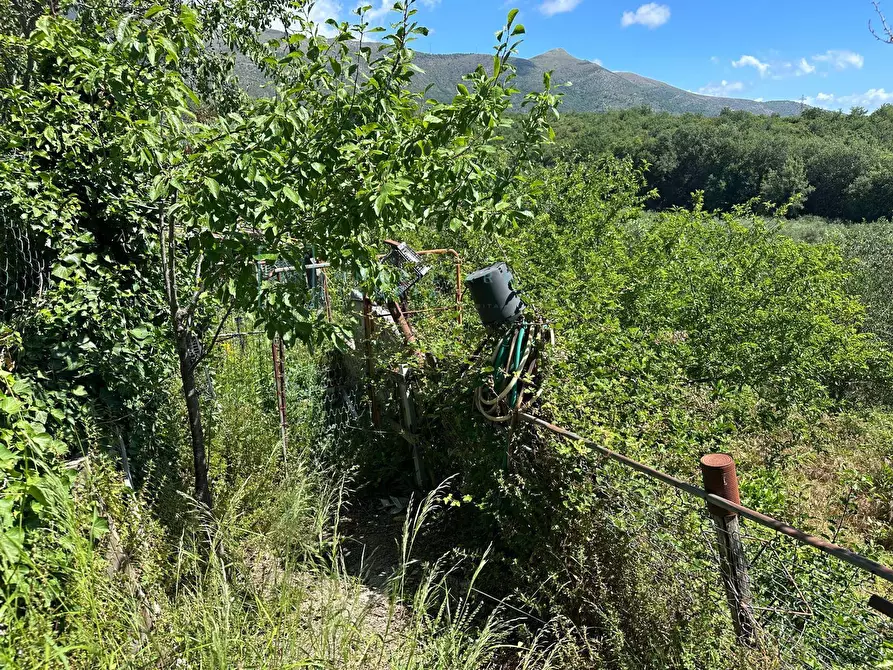 Immagine 27 di Terreno agricolo in vendita  in via del morteo a Albenga