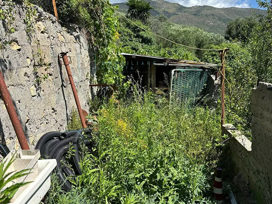 Immagine 28 di Terreno agricolo in vendita  in via del morteo a Albenga