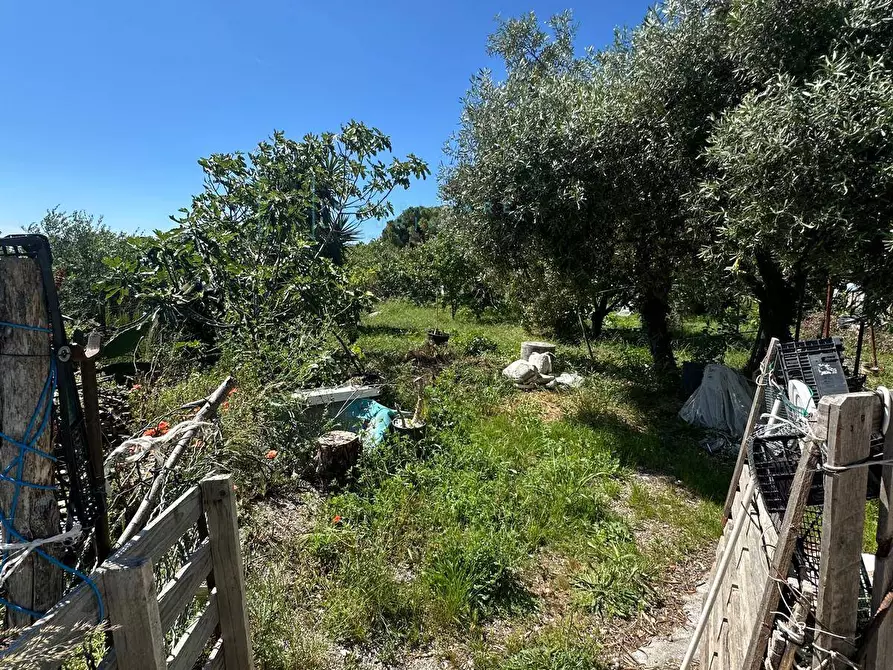 Immagine 29 di Terreno agricolo in vendita  in via del morteo a Albenga
