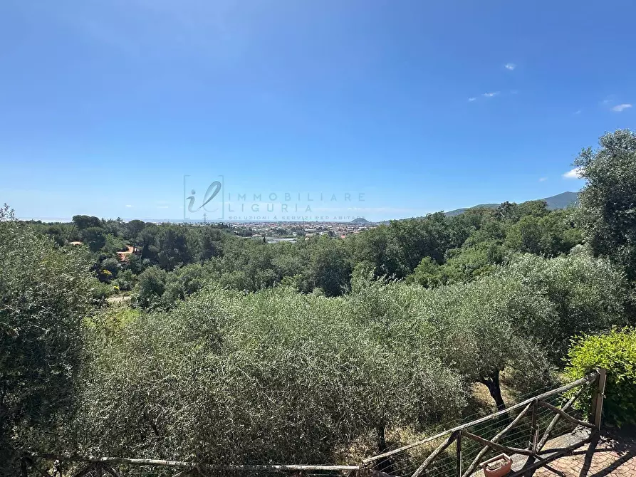Immagine 30 di Terreno agricolo in vendita  in via del morteo a Albenga