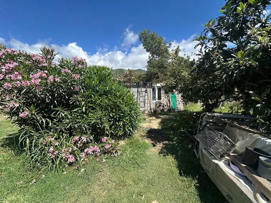 Immagine 1 di Terreno agricolo in vendita  in via del morteo a Albenga