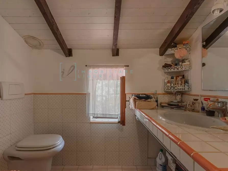Immagine 42 di Villa in vendita  in Regione Bauso a Garlenda