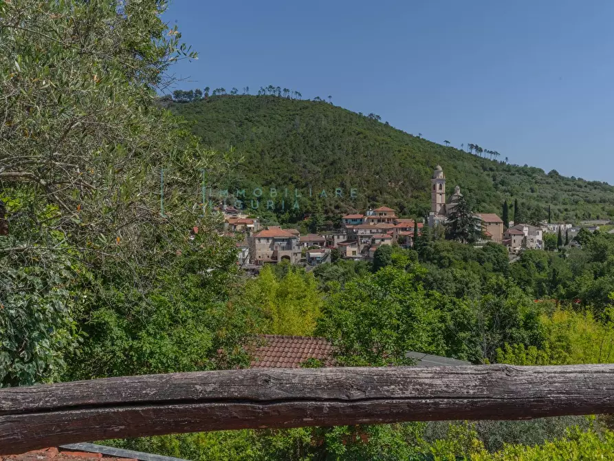Immagine 51 di Villa in vendita  in Regione Bauso a Garlenda