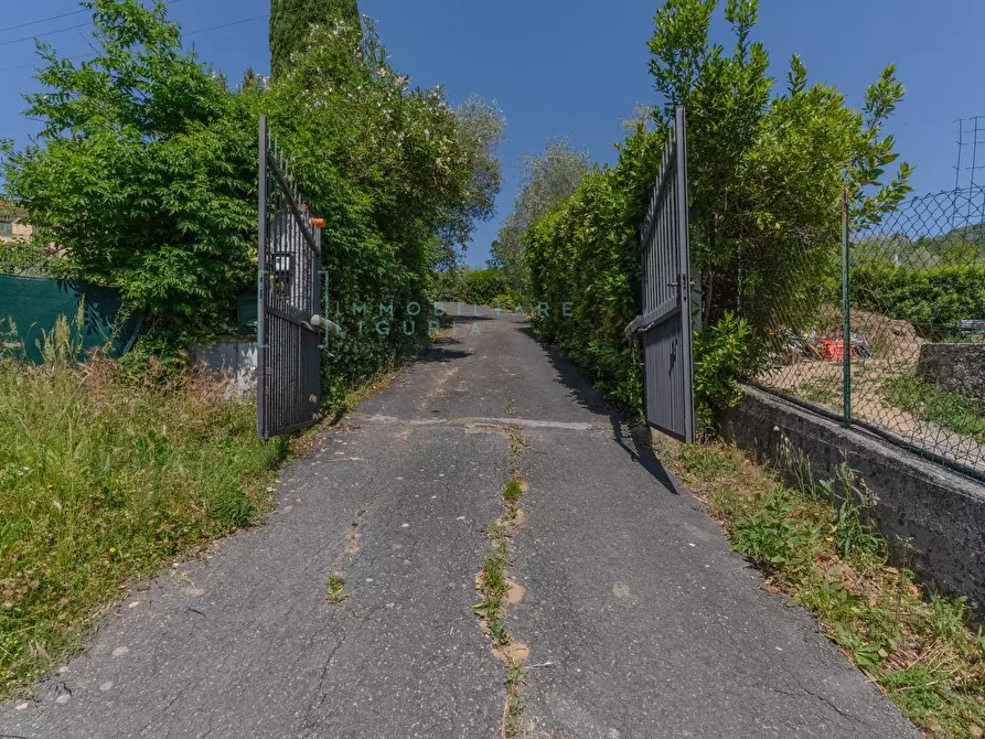Immagine 65 di Villa in vendita  in Regione Bauso a Garlenda