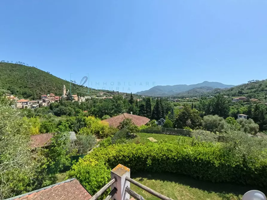 Immagine 73 di Villa in vendita  in Regione Bauso a Garlenda