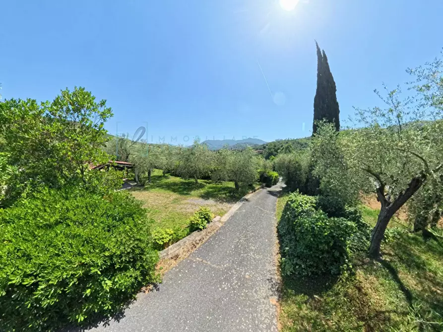 Immagine 76 di Villa in vendita  in Regione Bauso a Garlenda