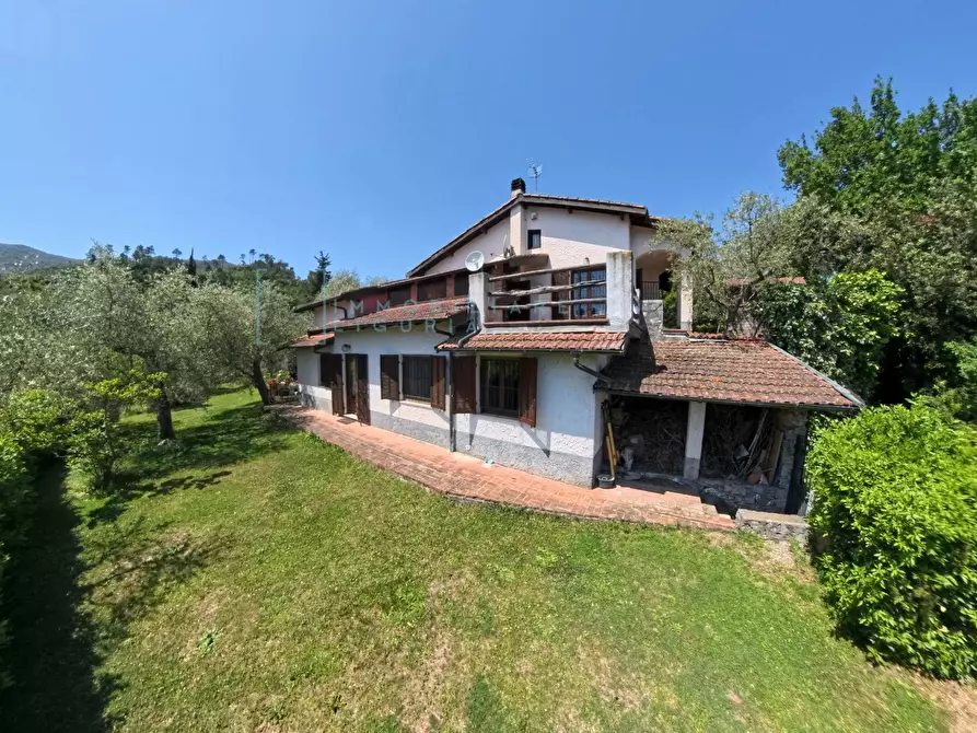 Immagine 77 di Villa in vendita  in Regione Bauso a Garlenda