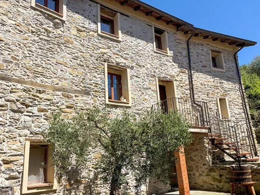 Immagine 2 di Rustico / casale in vendita  in località cascina a Borghetto D'arroscia