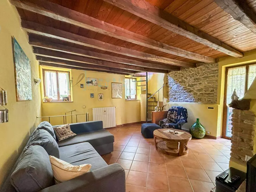 Immagine 1 di Rustico / casale in vendita  in località cascina a Borghetto D'arroscia