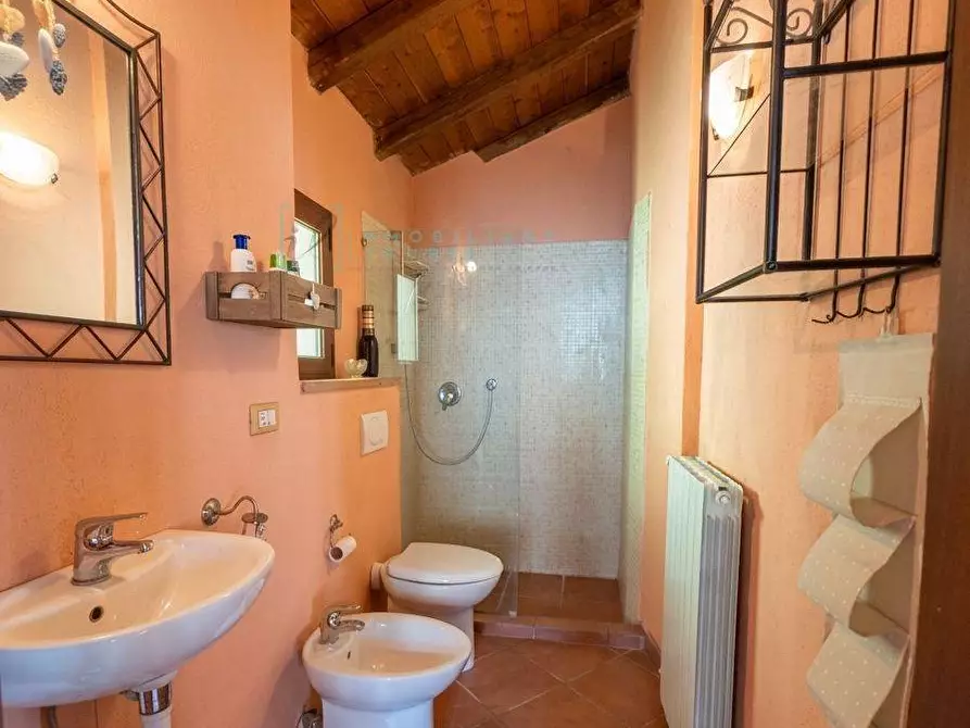 Immagine 12 di Rustico / casale in vendita  in località cascina a Borghetto D'arroscia