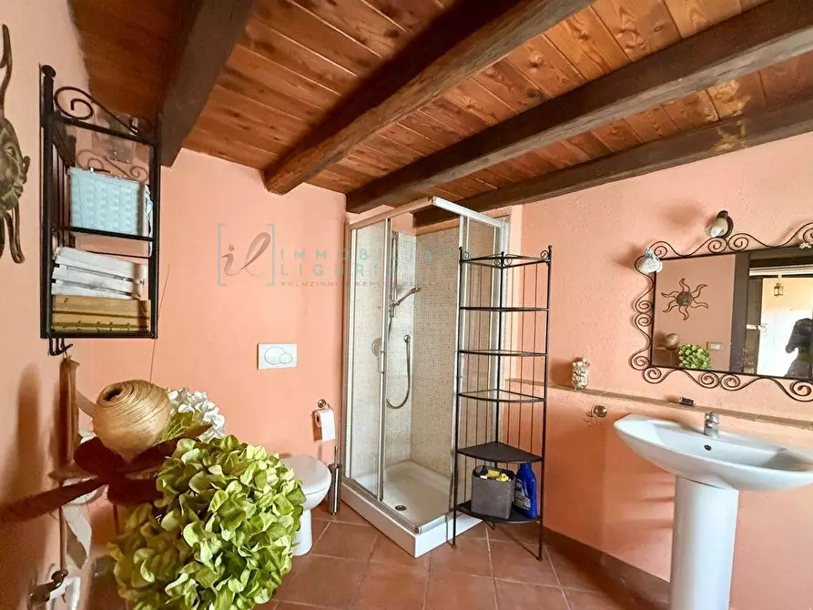Immagine 16 di Rustico / casale in vendita  in località cascina a Borghetto D'arroscia
