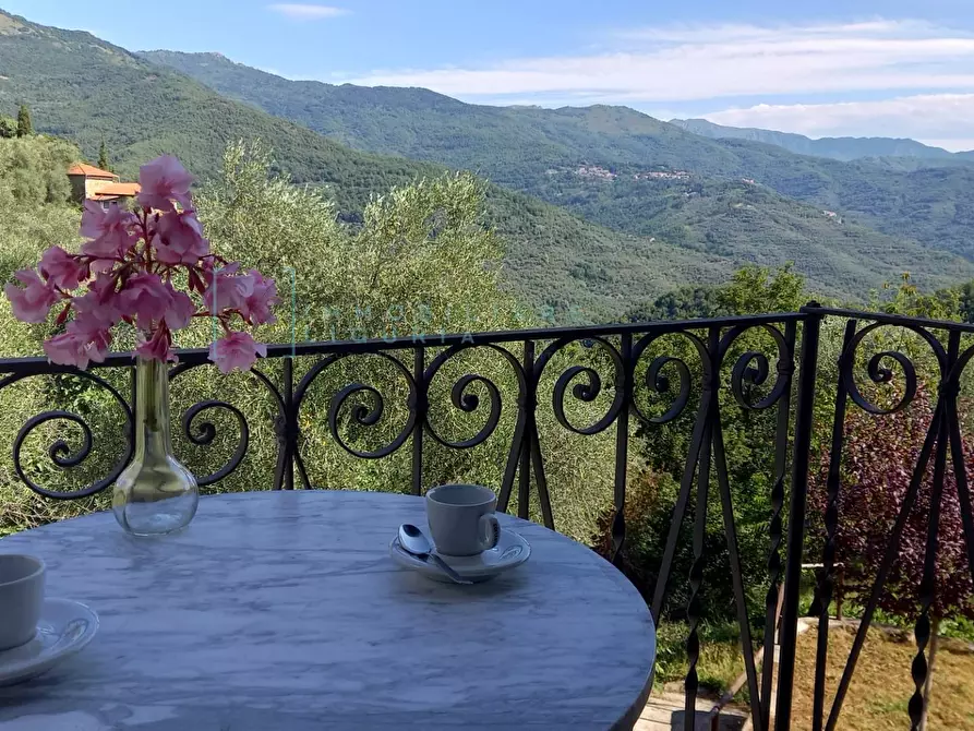 Immagine 13 di Rustico / casale in vendita  in Siglioli a Vessalico