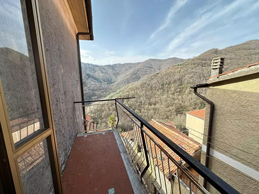 Immagine 11 di Rustico / casale in vendita  in frazione vellego a Casanova Lerrone