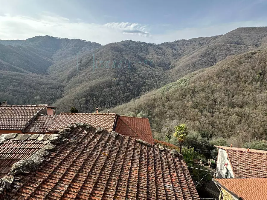 Immagine 12 di Rustico / casale in vendita  in frazione vellego a Casanova Lerrone